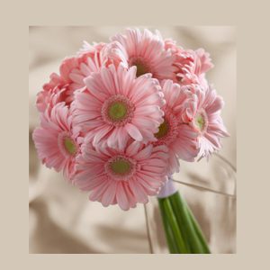 Bouquet- BQ_14