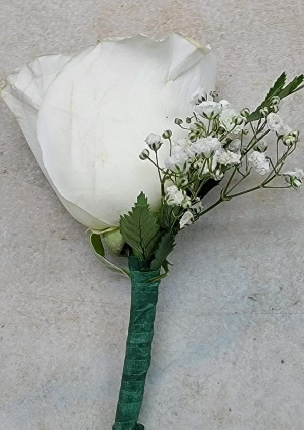 Carnation Boutonniere (White)