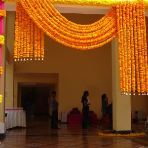 Backdrop Torans 17
