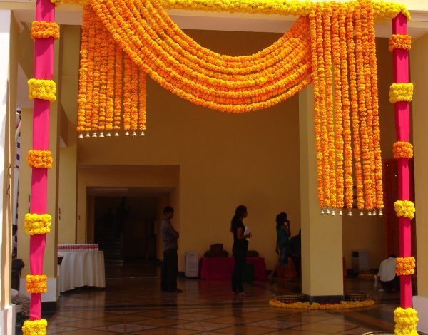Backdrop Torans 17