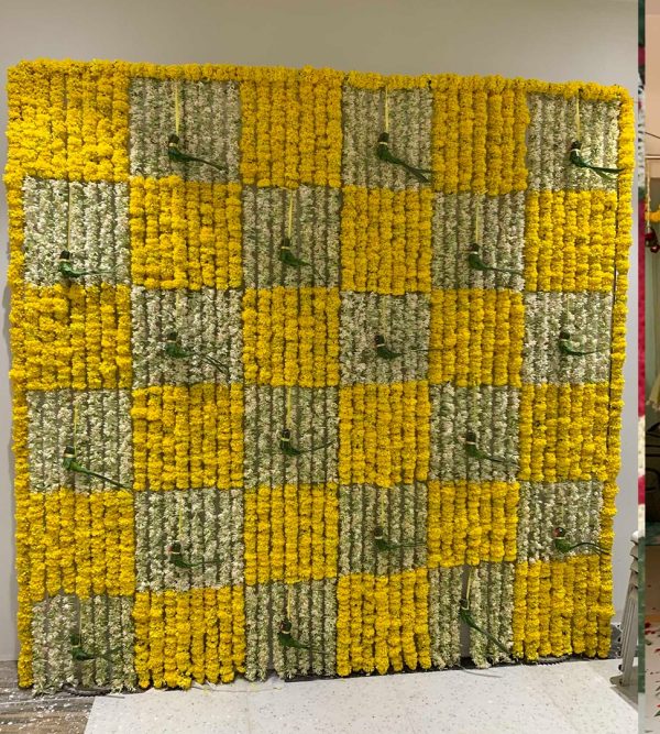 Backdrop Torans 20