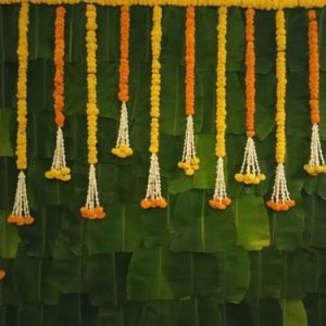 Backdrop Torans 22