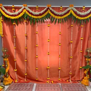 Backdrop Torans 04