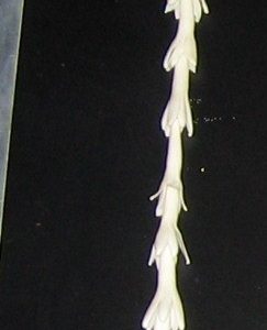 Single Lilly Toran with Rose