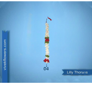 Lilly Toran - Design 04