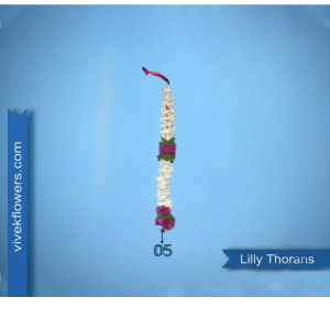Lilly Toran - Design 05