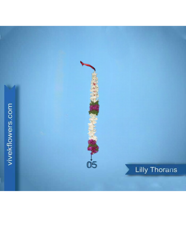 Lilly Toran - Design 05