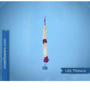 Lilly Toran - Design 06