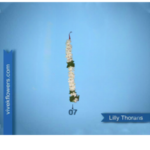 Lilly Toran - Design 07