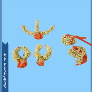 Mehndi Ornaments 5
