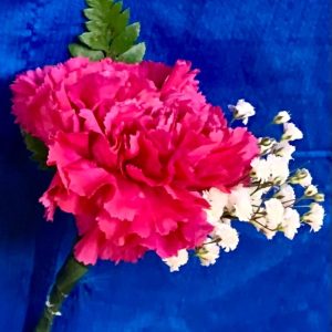 Pink Carnation Boutonniere