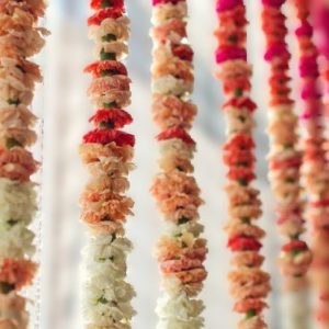 Carnation Strings - 3ft