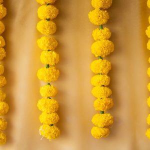 Marigold Strings - yellow