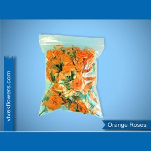 Orange Roses Loose