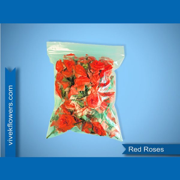 Red Roses Loose