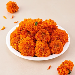 Marigolds/Banthipoolu - Orange Loose