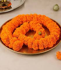 Marigold String Orange 3ft